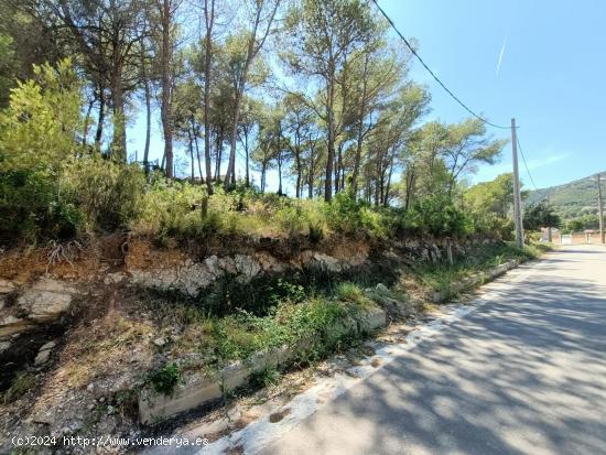  ¡Oportunidad en Les Palmeres, frente al futuro Natura Park! - BARCELONA 