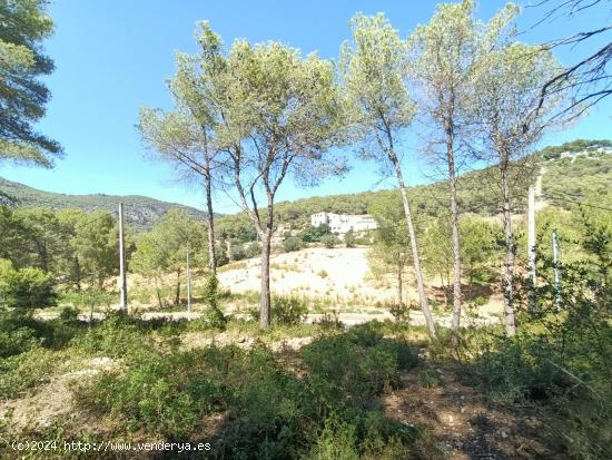 ¡Oportunidad en Les Palmeres, frente al futuro Natura Park! - BARCELONA