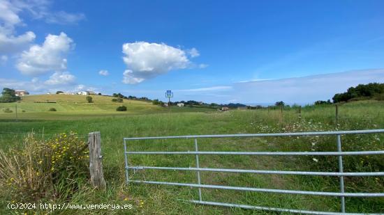 SE VENDE PARCELA EN LA REVILLA (SAN VICENTE DE LA BARQUERA) - CANTABRIA