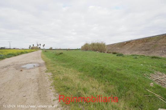 Terreno rústico en venta en Don Benito - BADAJOZ