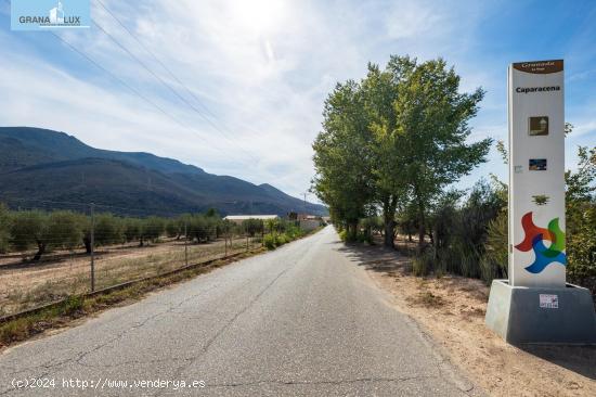 FINCA RUSTICA EN CAPARACENA - GRANADA