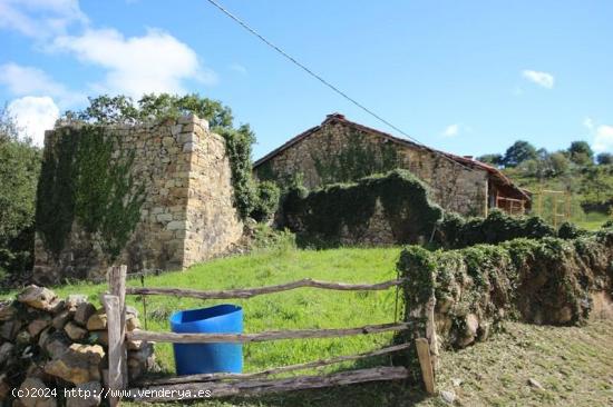 Se Vende en Ruente - CANTABRIA