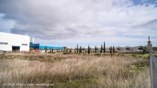 Terreno Urbano en el Polígono de Son Morro - BALEARES