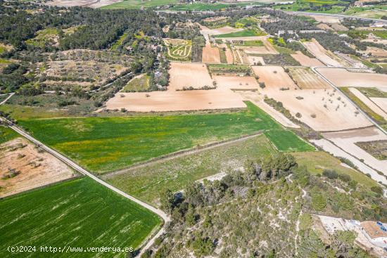 Finca rústica con muchas posibilidades en Sant Joan - BALEARES