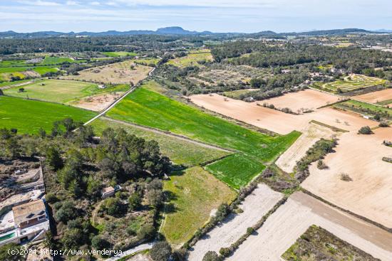 Finca rústica con muchas posibilidades en Sant Joan - BALEARES