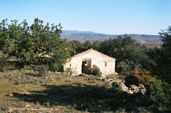 MASIA DE PIEDRA PARA REFORMAR EN UNA FINCA DE DOS HECTAREAS DE TERRENO - CASTELLON