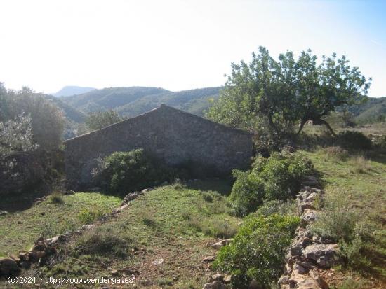 MASIA DE PIEDRA PARA REFORMAR EN UNA FINCA DE DOS HECTAREAS DE TERRENO - CASTELLON