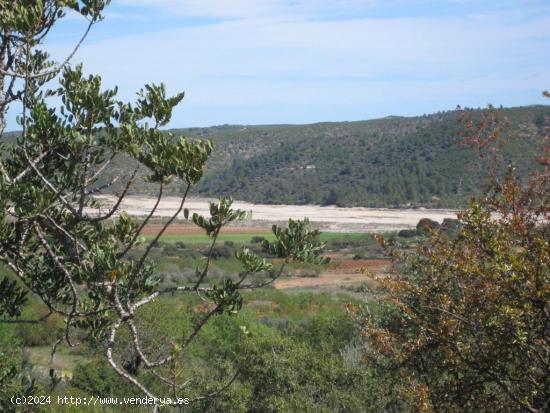 MASIA DE PIEDRA PARA REFORMAR EN UNA FINCA DE DOS HECTAREAS DE TERRENO - CASTELLON