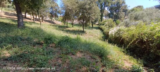 SANTA MARIA DE PALAUTORDERA (CAN BOSC): GRAN PARCELA EDIFICABLE ENTRE SANT CELONI Y LLINARS - BARCEL