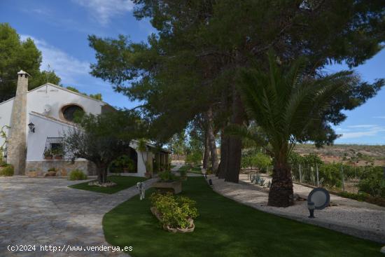 FINCA RUSTICA EN VENTA EN MULA, MURCIA - MURCIA