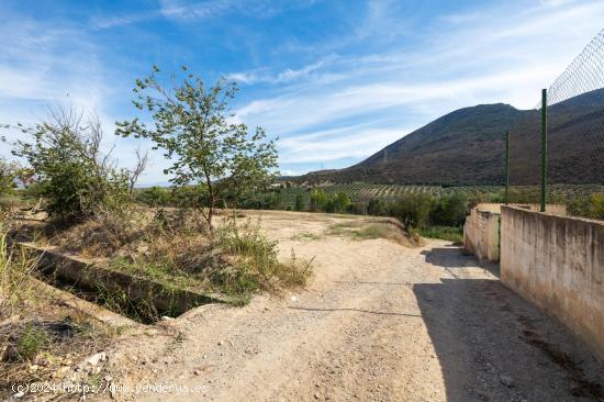 FINCA RUSTICA EN CAPARACENA - GRANADA