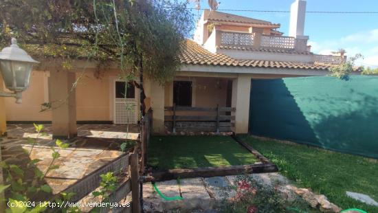 Planta baja en zona tranquila de 3 dormitorios con dos terrazas, patio y porche - MURCIA