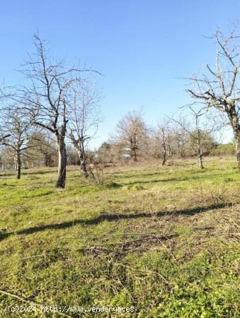 SE VENDE SOLAR EN CABAÑAS RARAS - LEON