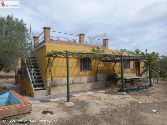  FINCA A LA VENTA EN L'AMPOLLA - TARRAGONA 