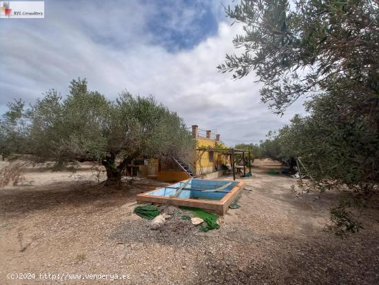 FINCA A LA VENTA EN L'AMPOLLA - TARRAGONA