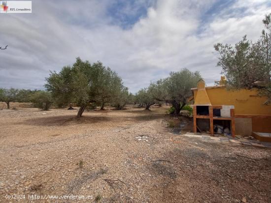 FINCA A LA VENTA EN L'AMPOLLA - TARRAGONA