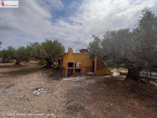 FINCA A LA VENTA EN L'AMPOLLA - TARRAGONA