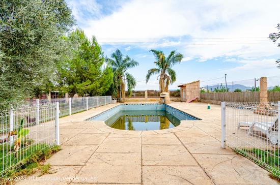 Un oasis de paz en el corazón de Murcia. Perfecto para desconectar y disfrutar de la naturaleza. - 