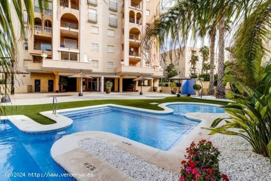 Apartamento en venta en Torrevieja (Alicante)