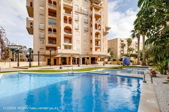 Apartamento en venta en Torrevieja (Alicante)