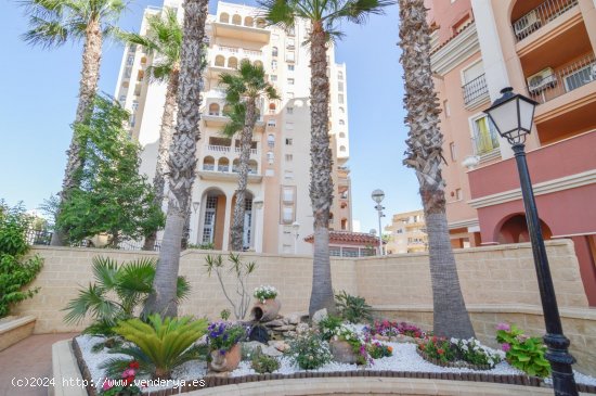 Apartamento en venta en Torrevieja (Alicante)