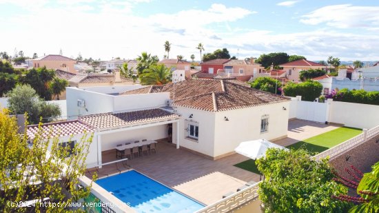 Villa en alquiler en Torrevieja (Alicante)