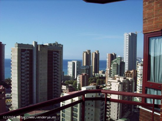 Apartamento en venta en Benidorm (Alicante)