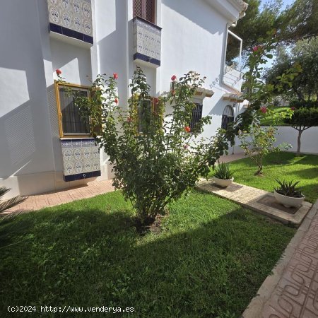  Bungalow en venta en Torrevieja (Alicante) 