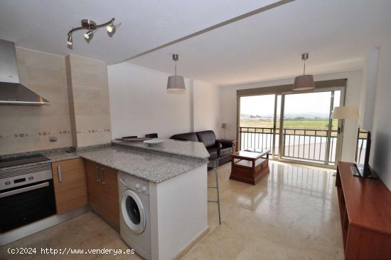 Apartamento en venta en Pinoso (Alicante)