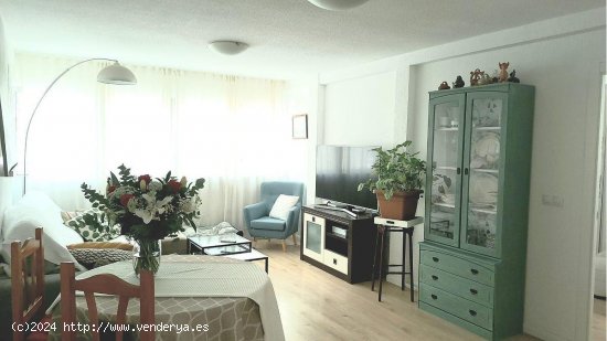 Apartamento en venta en Alicante (Alicante)