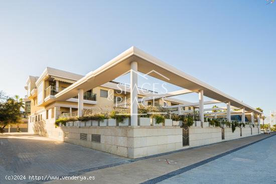 Acogedor apartamento en primera línea de playa en la Patacona - VALENCIA