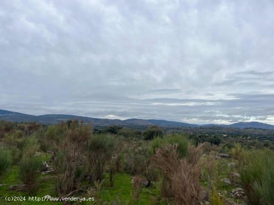 Finca en venta en Valencia de Alcántara (Cáceres)