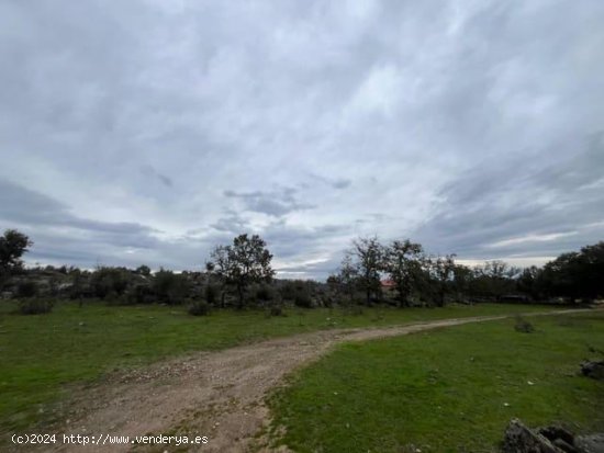 Finca en venta en Valencia de Alcántara (Cáceres)