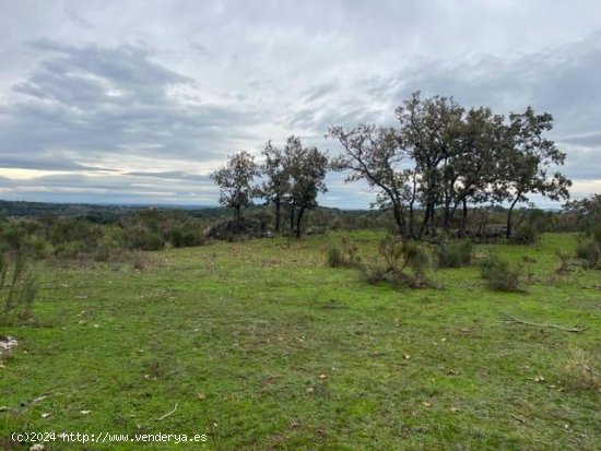 Finca en venta en Valencia de Alcántara (Cáceres)