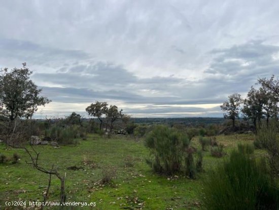 Finca en venta en Valencia de Alcántara (Cáceres)