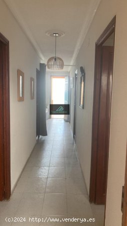 Bungalow en alquiler en Guardamar del Segura (Alicante)