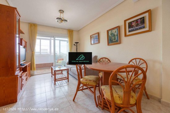 Apartamento en alquiler en Torrevieja (Alicante)