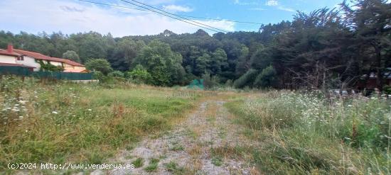 Se vende terreno urbanizable en Beranga - CANTABRIA