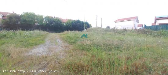 Se vende terreno urbanizable en Beranga - CANTABRIA