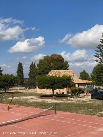 ENORME FINCA, CASA CON TERRENO A LAS AFUERAS DE ALGORFA - ALICANTE