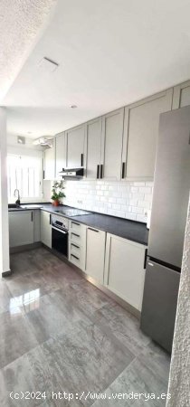 Apartamento en alquiler en Benalmádena (Málaga)