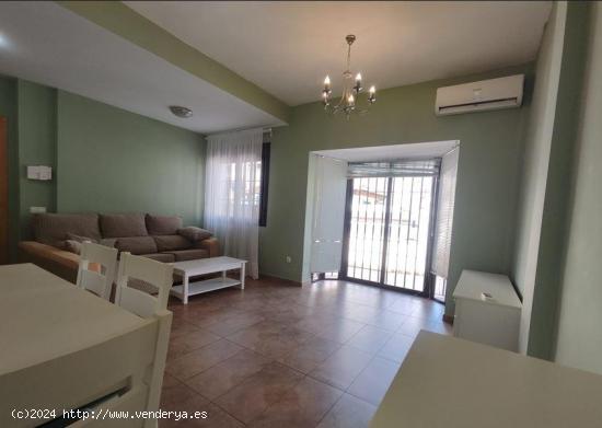 VIVIENDA UNIFAMILIAR CON PISCINA PRIVADA!! - CADIZ