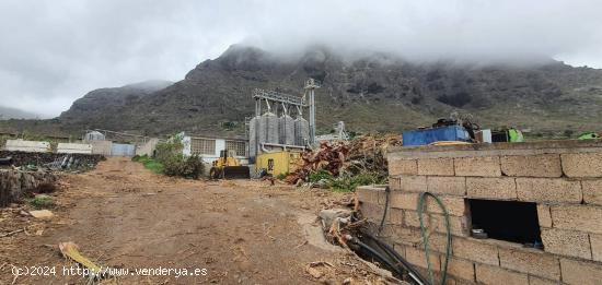 En Venta, GRANJA PORCINA en Buena Vista del Norte. - SANTA CRUZ DE TENERIFE