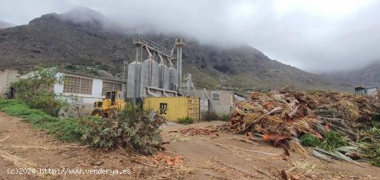 En Venta, GRANJA PORCINA en Buena Vista del Norte. - SANTA CRUZ DE TENERIFE