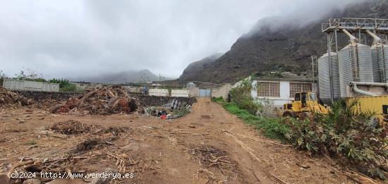 En Venta, GRANJA PORCINA en Buena Vista del Norte. - SANTA CRUZ DE TENERIFE