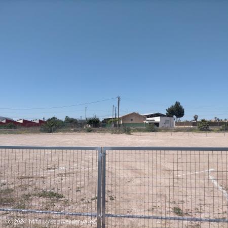 ¡OPORTUNIDAD! PARCELA DE 7.000 M2 EN ALQUILER EN CHURRA - MURCIA