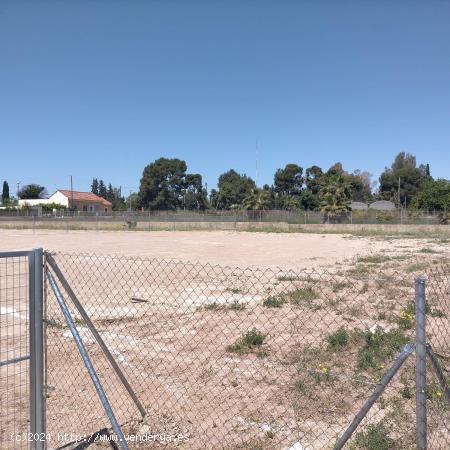 ¡OPORTUNIDAD! PARCELA DE 7.000 M2 EN ALQUILER EN CHURRA - MURCIA