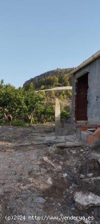 Finca Rústica en Venta en Bolulla: Encanto Natural y Productividad - ALICANTE