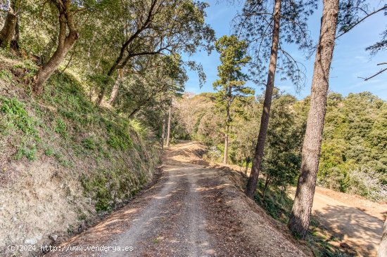 Masia en venta  en Tordera - Barcelona