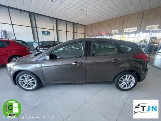 FORD Focus en venta en Baza (Granada) - Baza